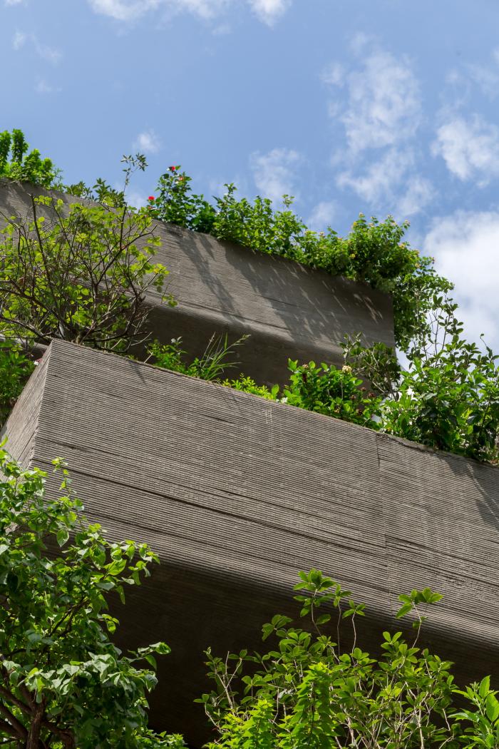 BIM建筑|错动“跳舞”的空中花园：越南联排住宅