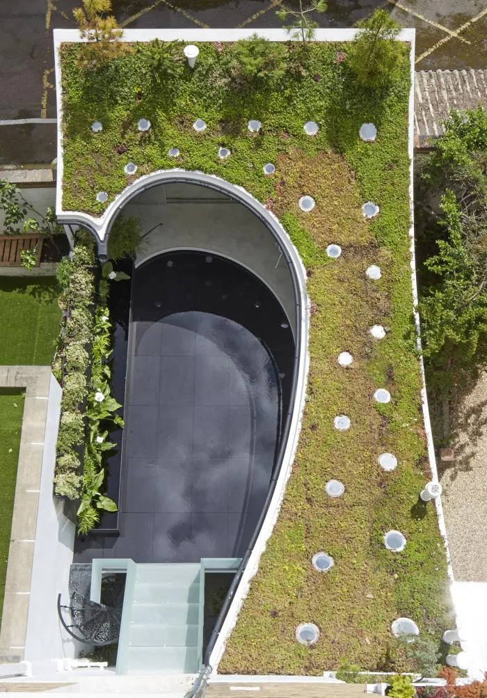 BIM建筑|绿意盎然，妖娆扭动：晴雨屋