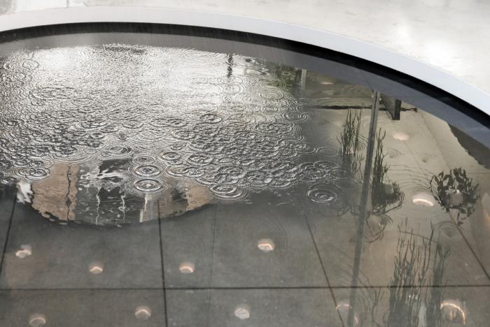 BIM建筑|绿意盎然，妖娆扭动：晴雨屋