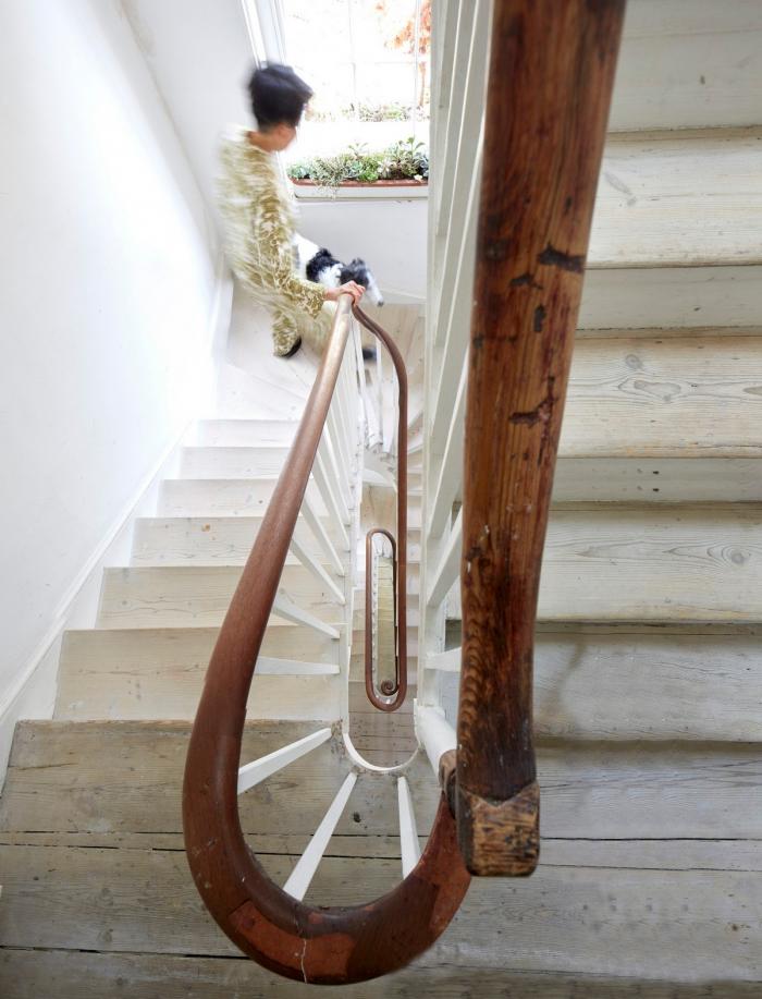 BIM建筑|绿意盎然，妖娆扭动：晴雨屋