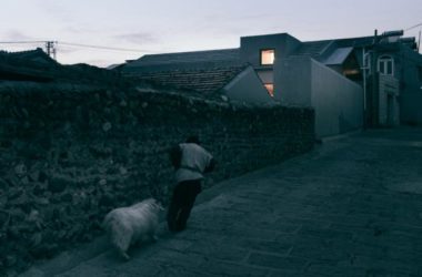 BIM建筑|仿佛自古而来——台上之家 / 察社办公室-BIM建筑网