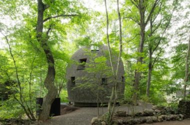 BIM建筑|可爱俏皮，森林中的壳型土屋-BIM建筑网