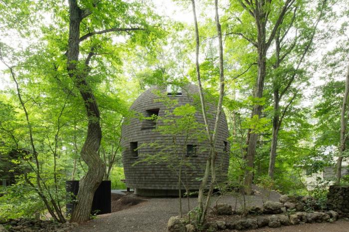 BIM建筑|可爱俏皮，森林中的壳型土屋