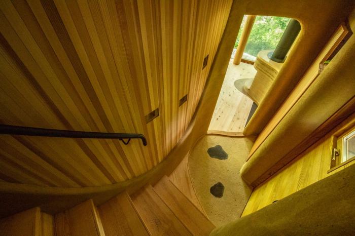 BIM建筑|可爱俏皮，森林中的壳型土屋