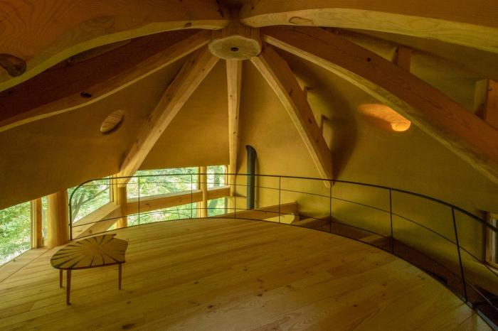 BIM建筑|可爱俏皮，森林中的壳型土屋