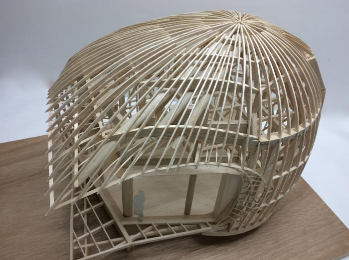 BIM建筑|可爱俏皮，森林中的壳型土屋