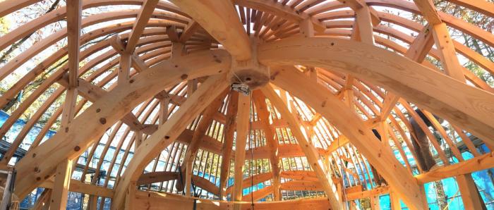 BIM建筑|可爱俏皮，森林中的壳型土屋