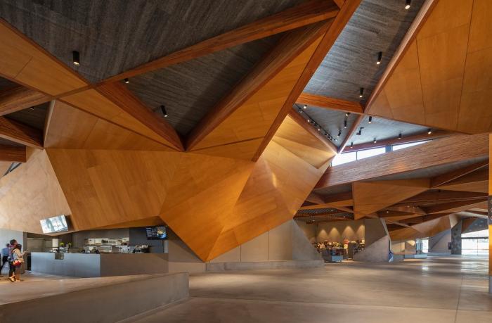 BIM建筑|抽象解构的“长脊”：澳大利亚企鹅归巢游客中心