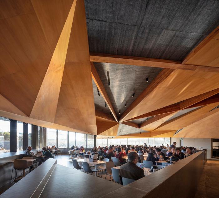 BIM建筑|抽象解构的“长脊”：澳大利亚企鹅归巢游客中心