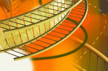 BIM建筑|“旋境”：一种住宅类型的幻象重构 / 戏构建筑设计工作室-BIM建筑网