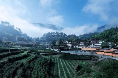 BIM建筑|豆腐工坊 / DnA-BIM建筑网