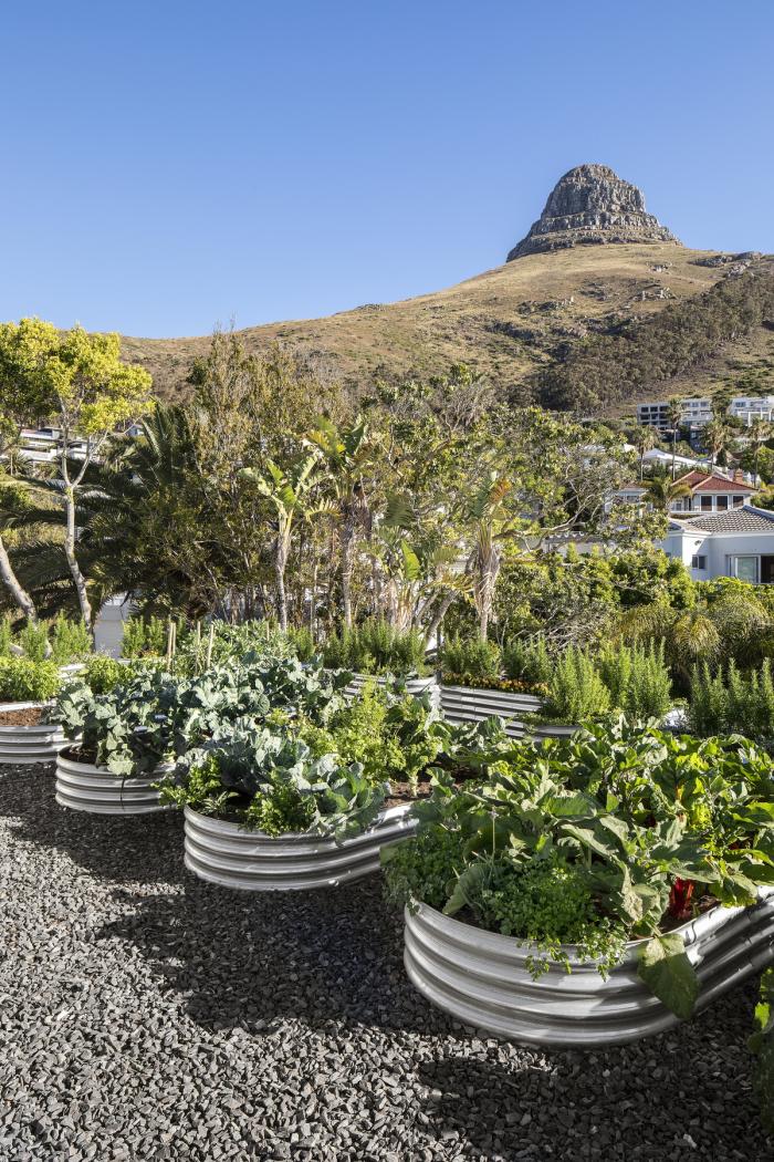 BIM建筑|充满未来主义色彩的“雕塑”：南非海景街216号