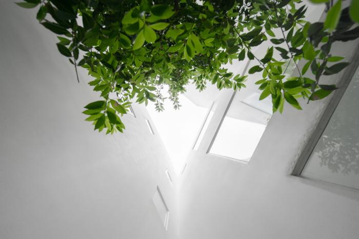 BIM建筑|风景万画筒 - 陆宅 / ams元秀万建筑事务所