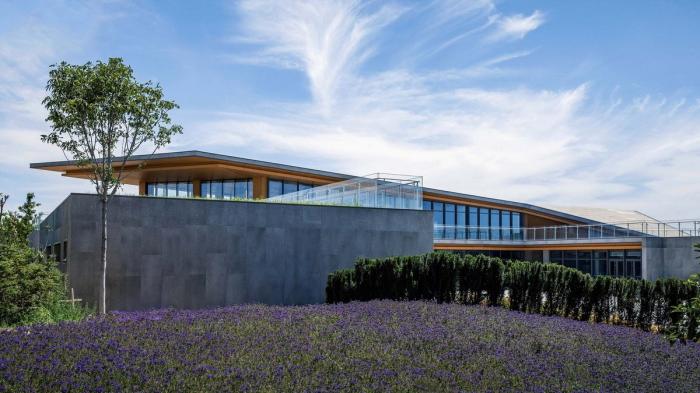 BIM建筑|大地之痕：七色山矿坑花园游客中心 / UUA建筑师事务所