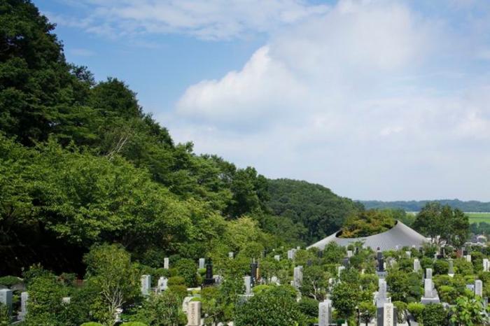 BIM建筑|仿佛一顶圆形礼帽：狭山湖畔墓地社区大厅 / 中村拓志 & NAP