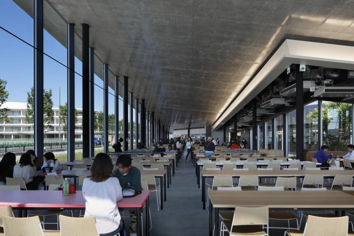BIM建筑|追手门学院大学“学术方舟” / 三菱地所设计