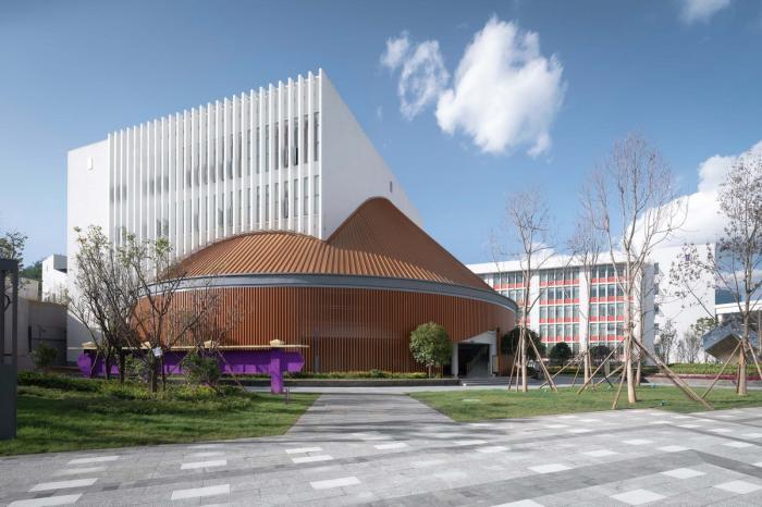 BIM建筑|立体“院落”空间：云南师范大学实验中学 / 清华大学建筑设计院 + 清华大学建筑学院