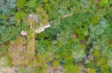 BIM建筑|清幽简居，消隐于森林：南非狭长之宅-BIM建筑网