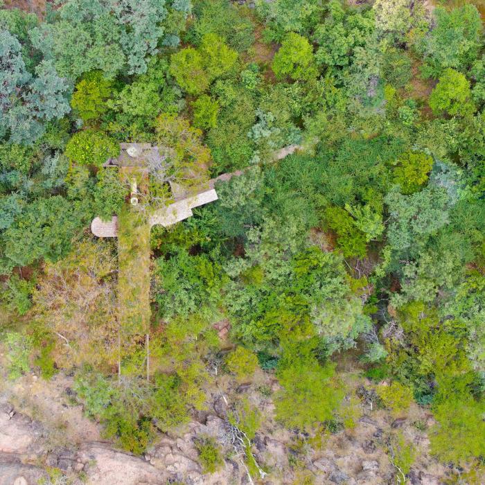 BIM建筑|清幽简居，消隐于森林：南非狭长之宅