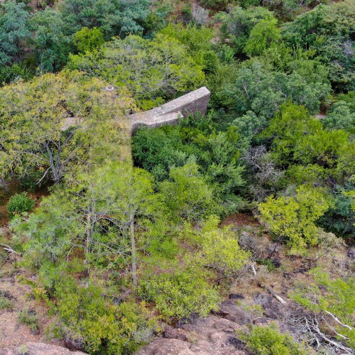 BIM建筑|清幽简居，消隐于森林：南非狭长之宅