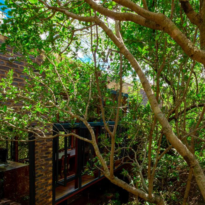 BIM建筑|清幽简居，消隐于森林：南非狭长之宅