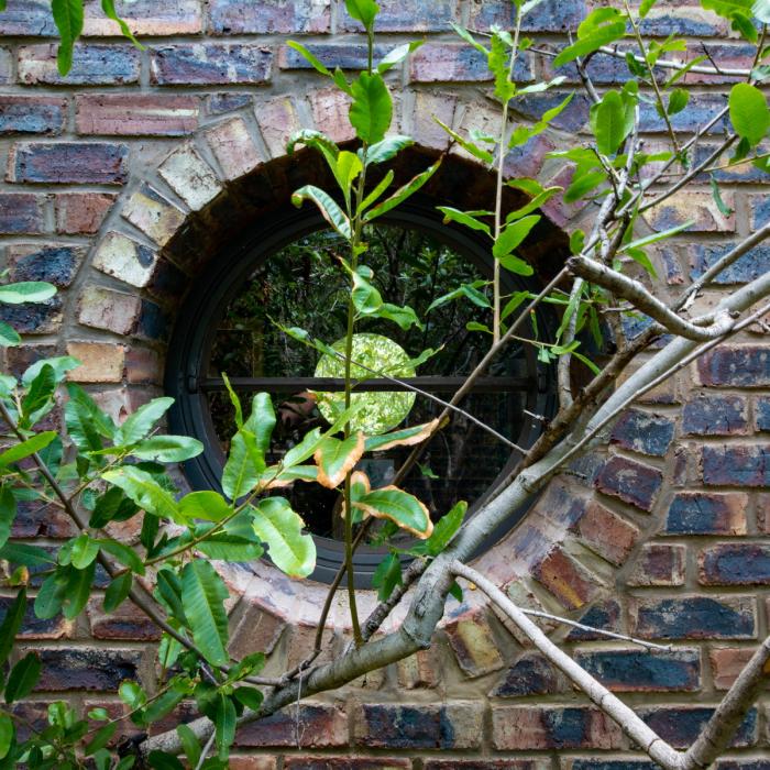 BIM建筑|清幽简居，消隐于森林：南非狭长之宅