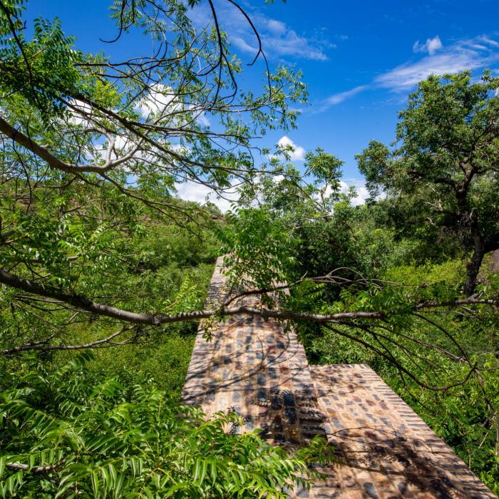 BIM建筑|清幽简居，消隐于森林：南非狭长之宅