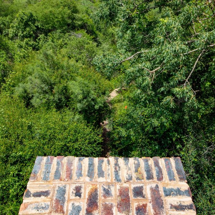 BIM建筑|清幽简居，消隐于森林：南非狭长之宅