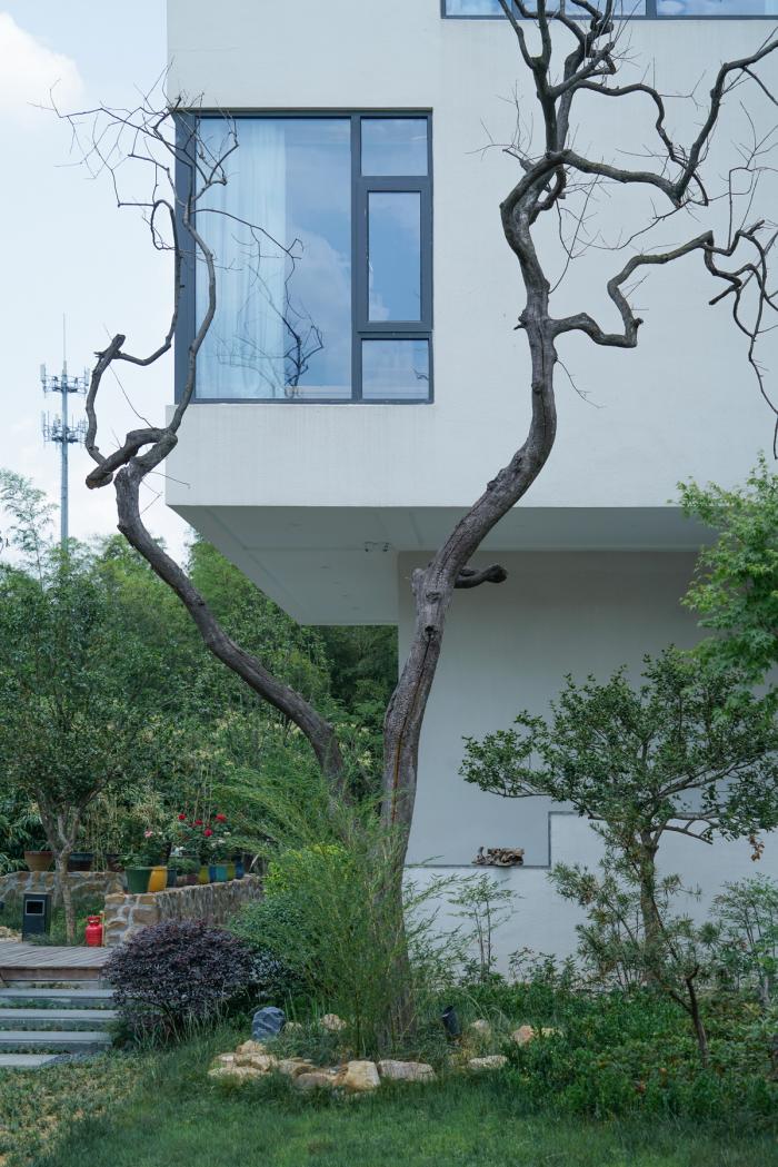 BIM建筑|松楼，宜兴 / 平介设计