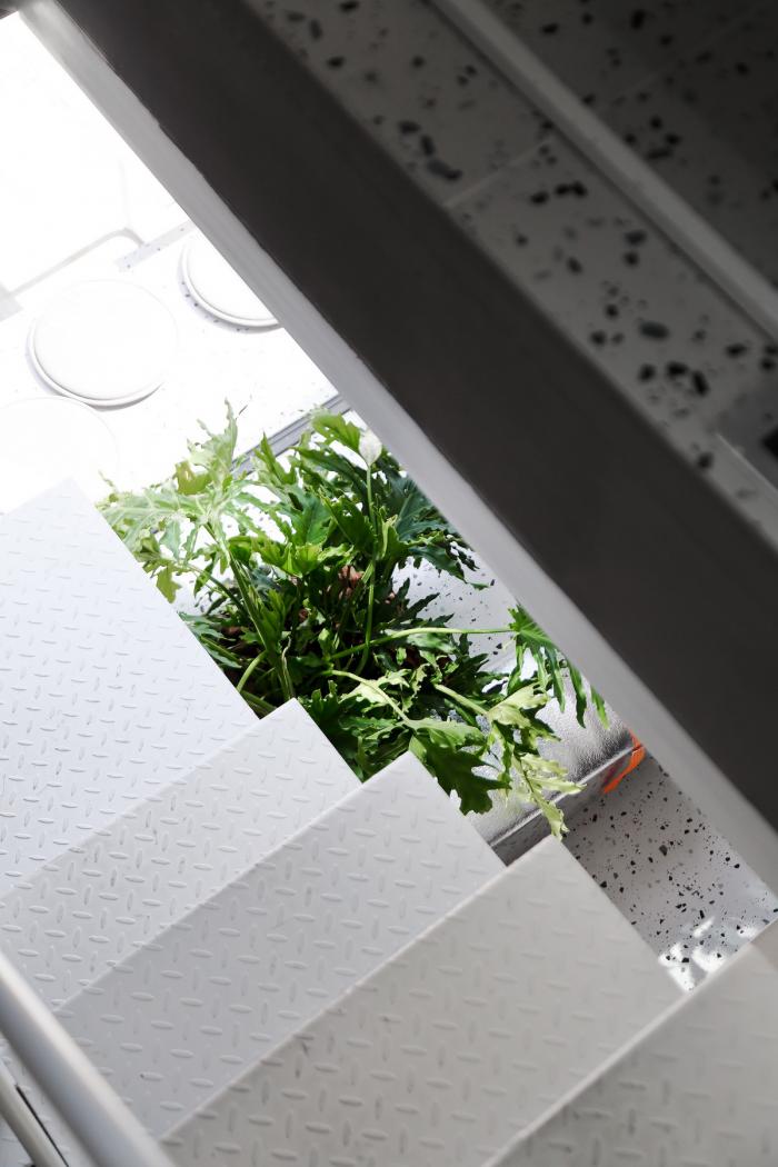 BIM建筑|离宅半米办公空间设计，宁波 / 离宅半米0.5m studio