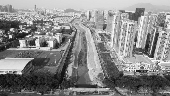 BIM建筑|平静之中见张力：深圳坪山高级中学跨河人行桥 / 南沙原创