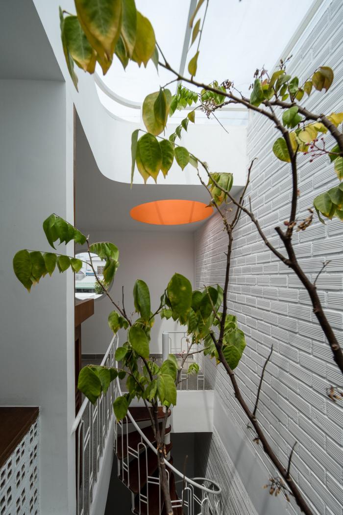 BIM建筑|绿植点缀垂直天井，活力与静谧美感的平衡：越南V别墅