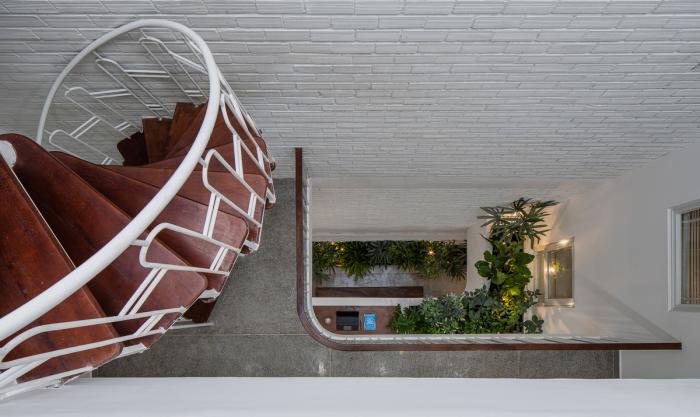 BIM建筑|绿植点缀垂直天井，活力与静谧美感的平衡：越南V别墅