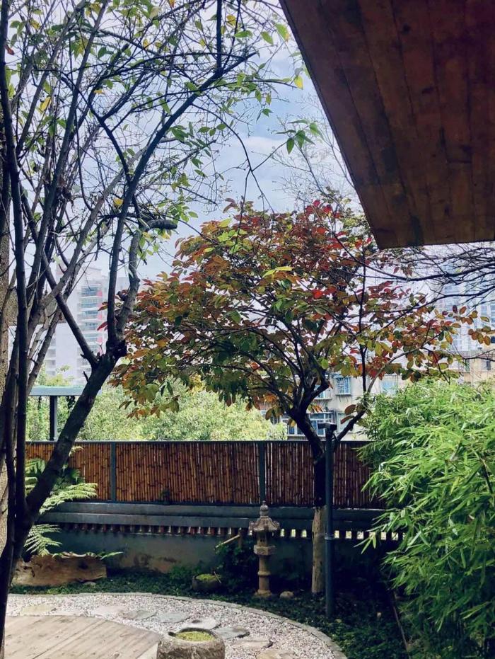 BIM建筑|南洋华侨老别墅变身记·俱舍茶集 / WDD维度点设计