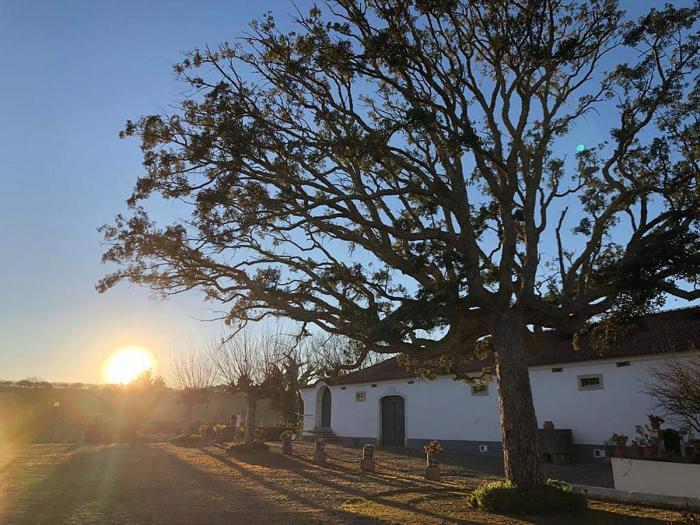 BIM建筑|暮光之环：葡萄牙 MONTE D\'OIRO酒庄品酒空间设计 / PL-T平时建筑事务所