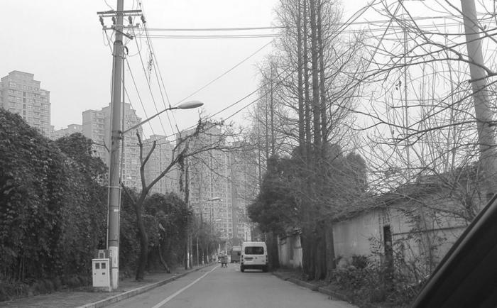 BIM建筑|上海街道适应性改造纪实 / 予舍予筑