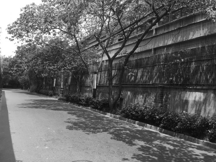 BIM建筑|上海街道适应性改造纪实 / 予舍予筑