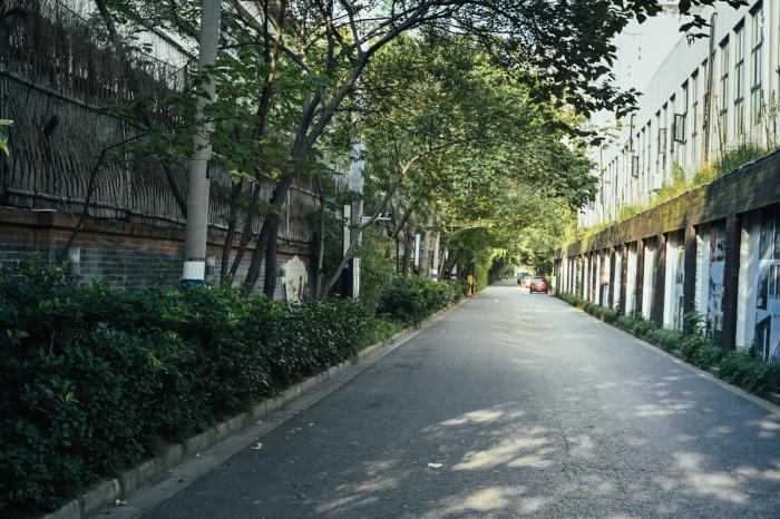 BIM建筑|上海街道适应性改造纪实 / 予舍予筑