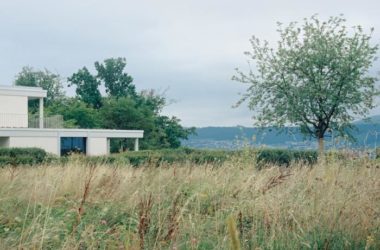 BIM建筑|苏黎世葡萄园住宅，伫于世外隐居之境 / Think Architecture-BIM建筑网