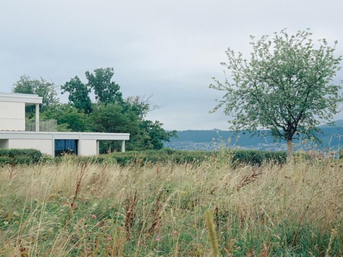 BIM建筑|苏黎世葡萄园住宅，伫于世外隐居之境 / Think Architecture