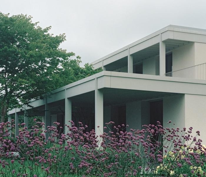 BIM建筑|苏黎世葡萄园住宅，伫于世外隐居之境 / Think Architecture