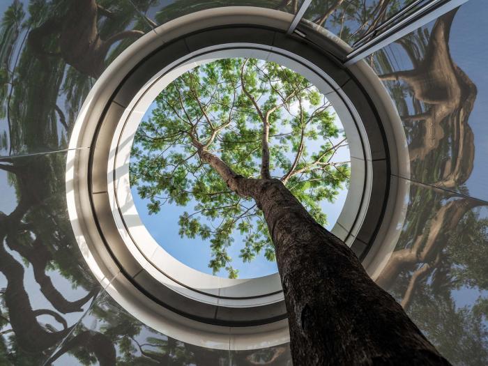 BIM建筑|浮山云舍 / Wutopia Lab