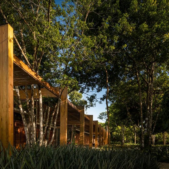 BIM建筑|巴西热带海岸上的“沙屋” / studio MK27