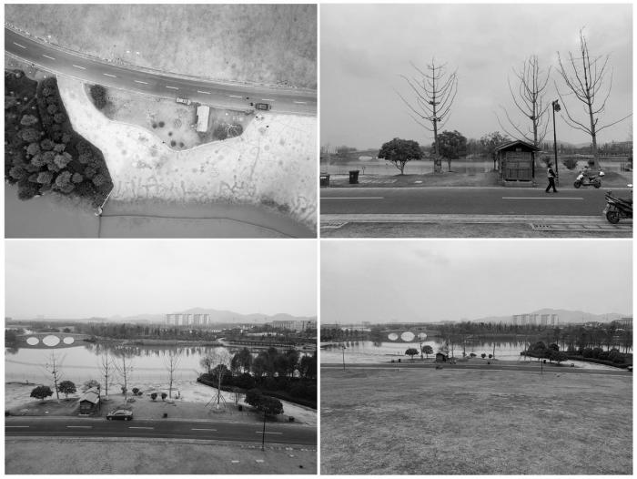 BIM建筑|湘湖定山岛驿站“屏亭” / 植田建筑