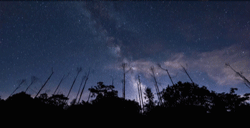 BIM建筑|高地星厨 / 今古凤凰，叶晖