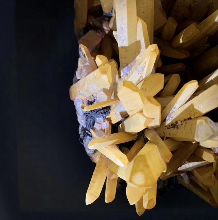 BIM建筑|福建省英良石材自然历史博物馆 / 时境建筑