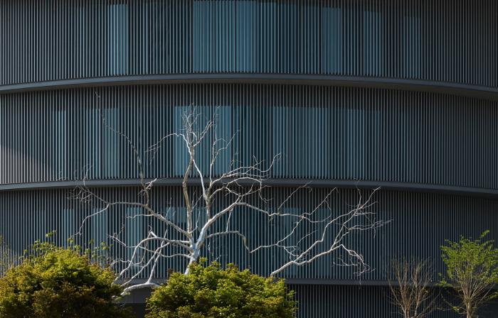 BIM建筑|安藤忠雄“和美术馆”将于国庆开放：岭南文化与空间融合