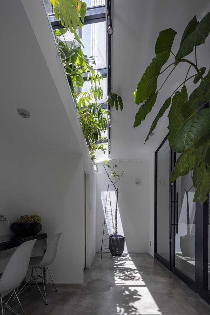 BIM建筑|广岛“螺旋”酒店，挑战35㎡场地的狭长极限 / CAPD