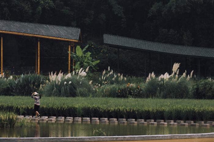 BIM建筑|竹枝书院 / 小隐建筑