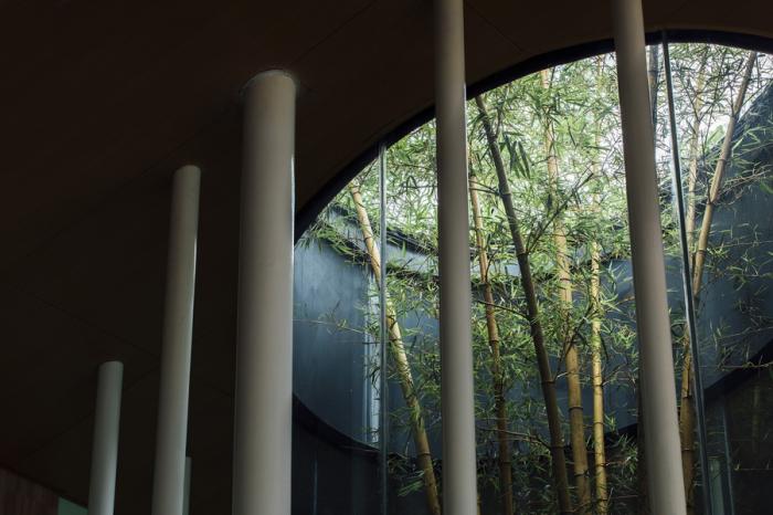 BIM建筑|竹枝书院 / 小隐建筑